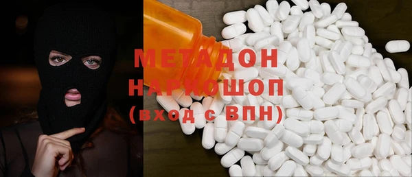 молекула духа Богданович